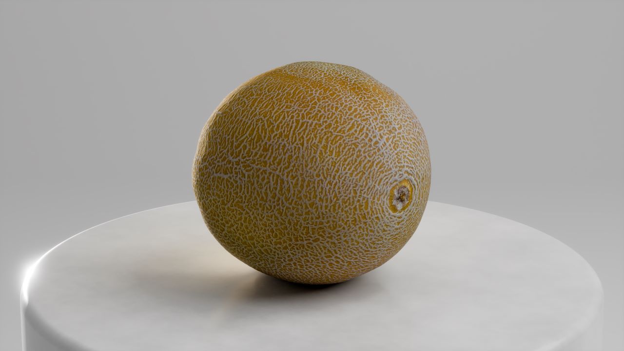 Photogrammetry Galiamelon